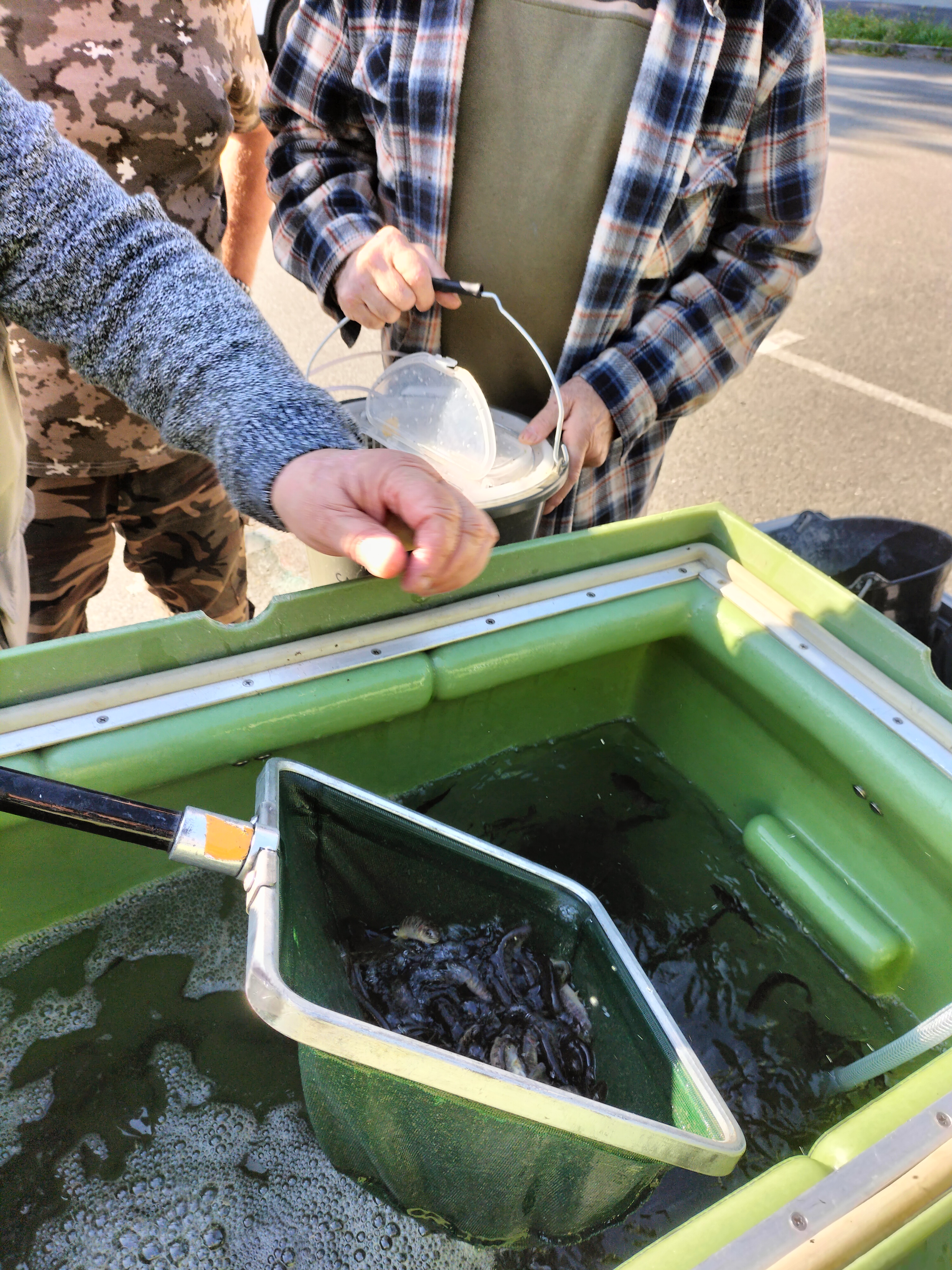 Image principale du post : 2 octobre 2025 : Lâcher de truitelles