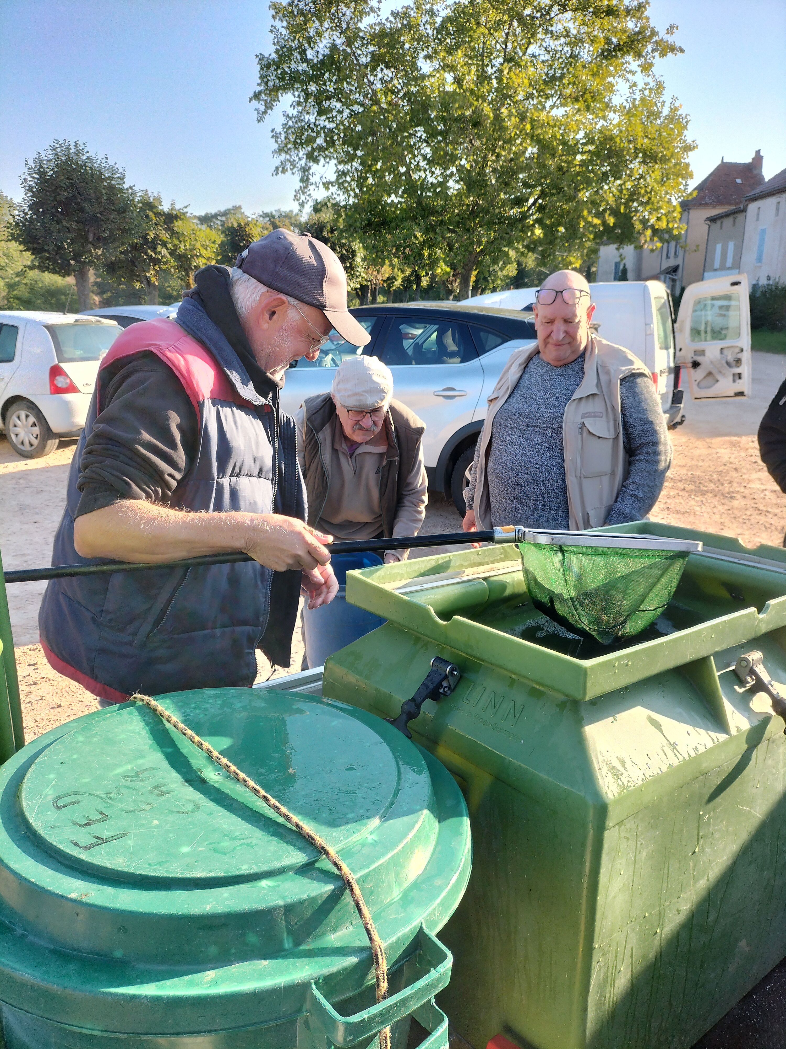 Aperçu image du post 2 octobre 2025 : Lâcher de truitelles